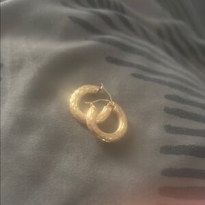 Elegant Gold Hoop Earrings